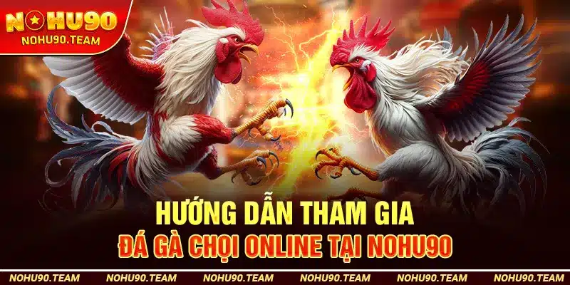 Hướng Dẫn Tham Gia Đá Gà Chọi Online Tại Nohu90