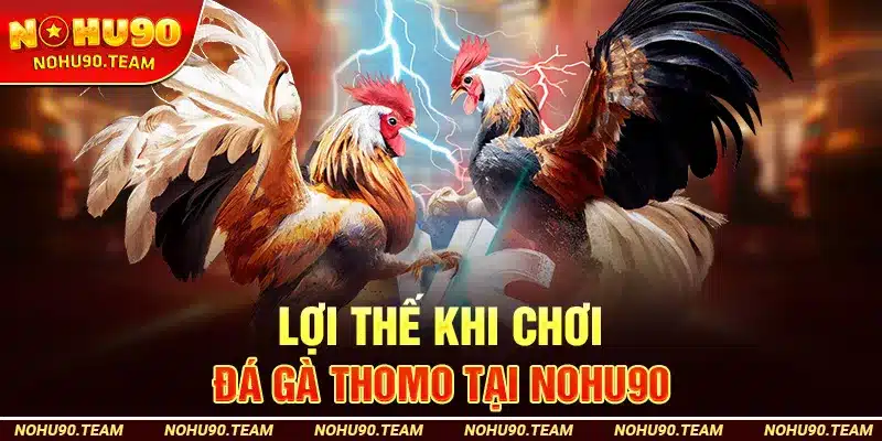 Lợi Thế Khi Chơi Đá Gà Thomo Tại Nohu90