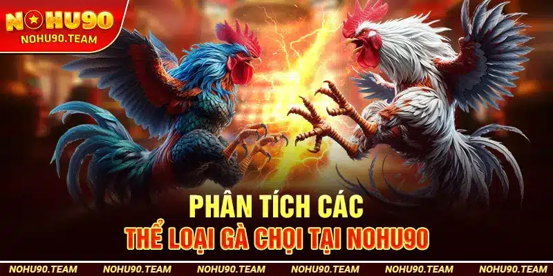 Phân Tích Các Thể Loại Gà Chọi Tại Nohu90