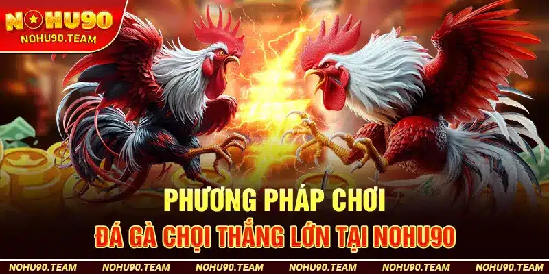 Phương Pháp Chơi Đá Gà Chọi Thắng Lớn Tại Nohu90