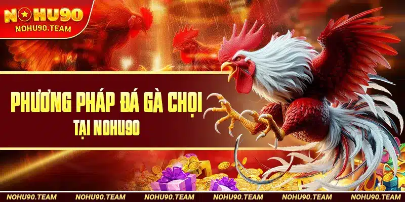 Phương Pháp Đá Gà Chọi Tại Nohu90