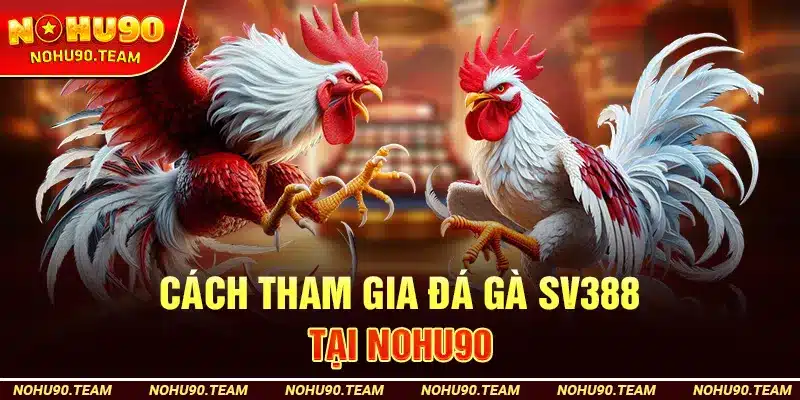 Cách Tham Gia Đá Gà SV388 Tại Nohu90