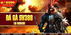 Đá Gà SV388 Tại Nohu90