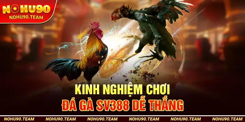 Kinh Nghiệm Chơi Đá Gà SV388 Dễ Thắng